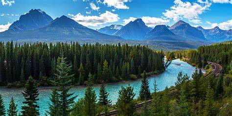 Western Office Branch<br />
2808 Ridge Road<br />
Strathmore, AB<br />
T1P 1B6<br />
403-902-1296<br />
877-807-3244</p>
<p>St.Thomas Branch<br />
Contact Lya Brown, Pres. PFA Canada<br />
519-317-9258 cell 